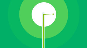 greenlight